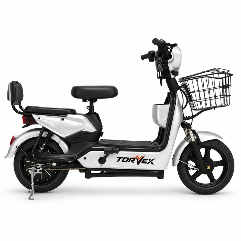 350W Classic City Electric Bike suppliers
