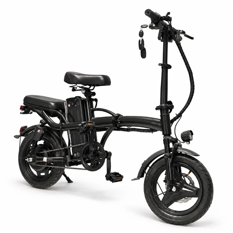 350W LED Headlight Electric Bicycle