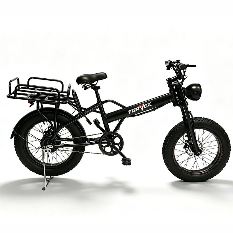 500W 20 Inch Folding Electric Bike suppliers