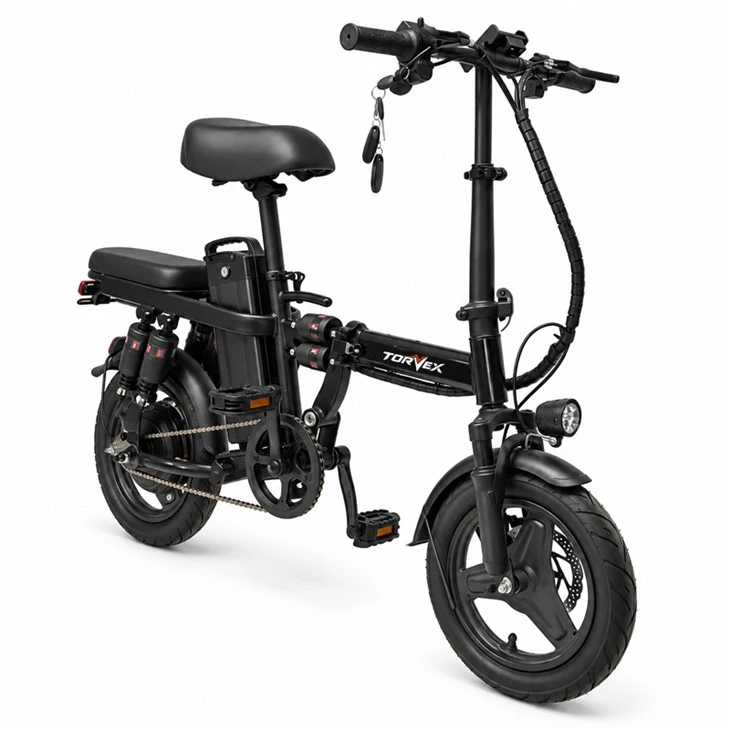 350W Heavy Duty Electric Bicycle