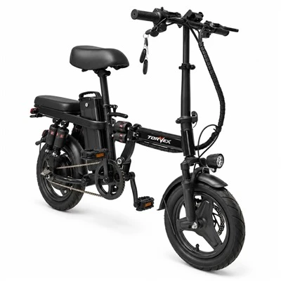 350W Heavy Duty Electric Bicycle