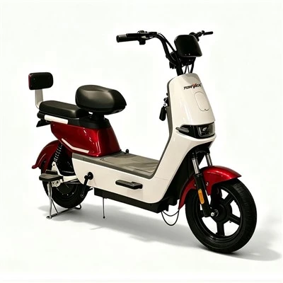 350W Dual Suspension Electric Bike