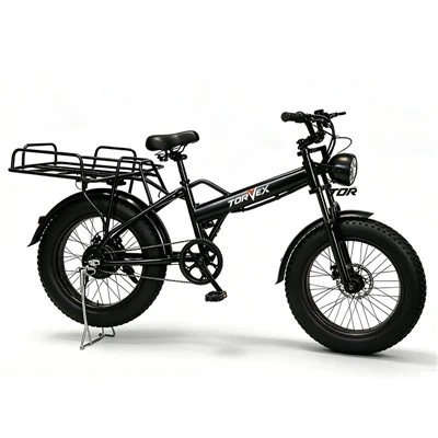 500W 20 Inch Folding Electric Bike